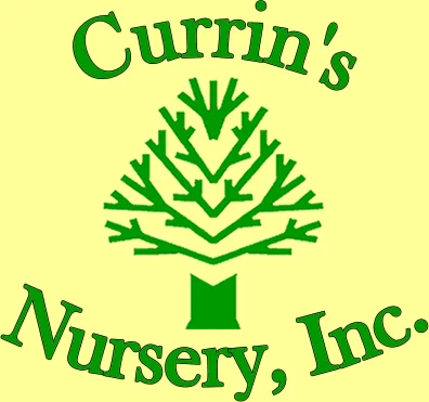 Currin's Nursery, Inc.